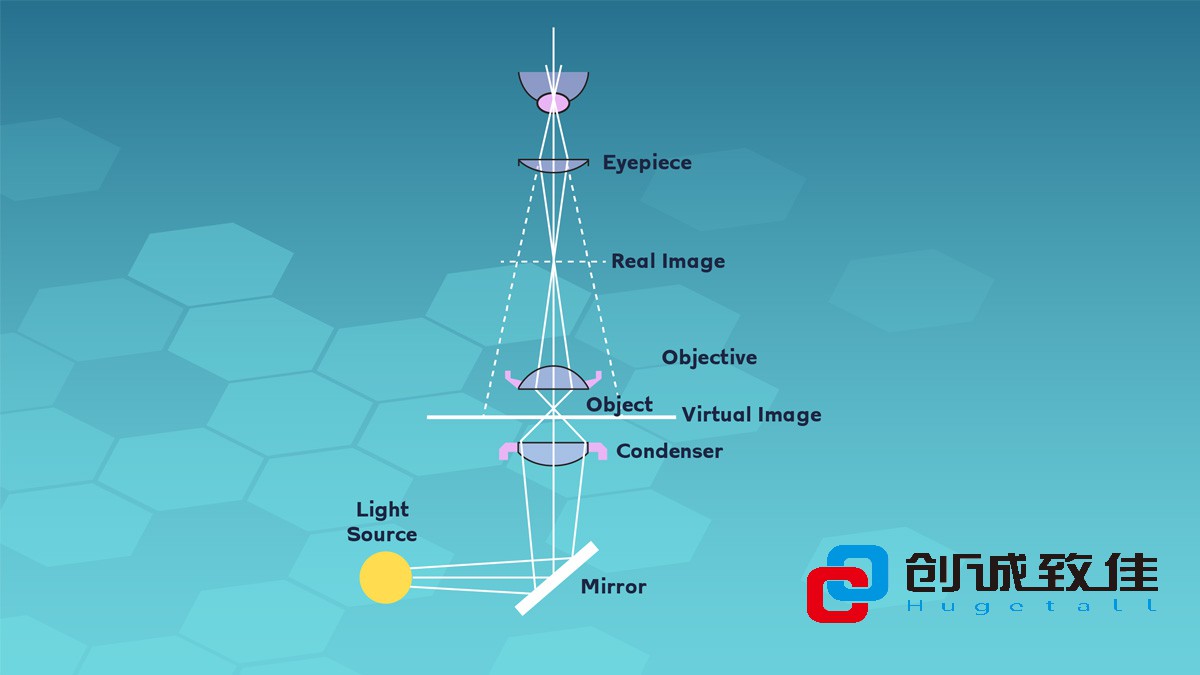 基本复合显微镜：使用反射镜和聚光镜将来自光源的光聚焦到样品（物体）上。 来自样品的光被物镜收集，形成中间图像，由目镜再次成像并传递到眼睛，眼睛可以看到样品的放大图像。